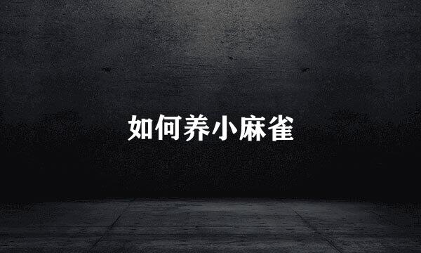 如何养小麻雀