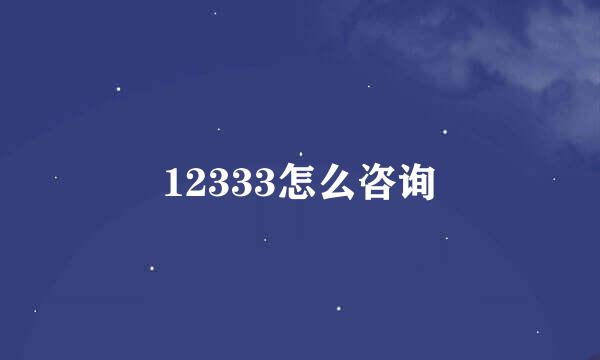12333怎么咨询
