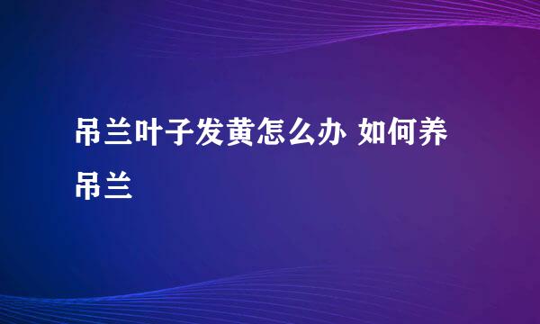吊兰叶子发黄怎么办 如何养吊兰