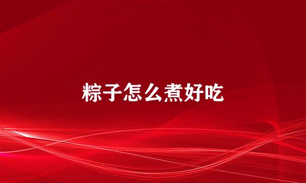 粽子怎么煮好吃