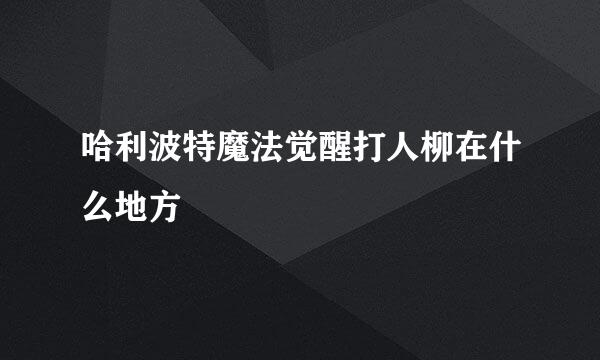 哈利波特魔法觉醒打人柳在什么地方