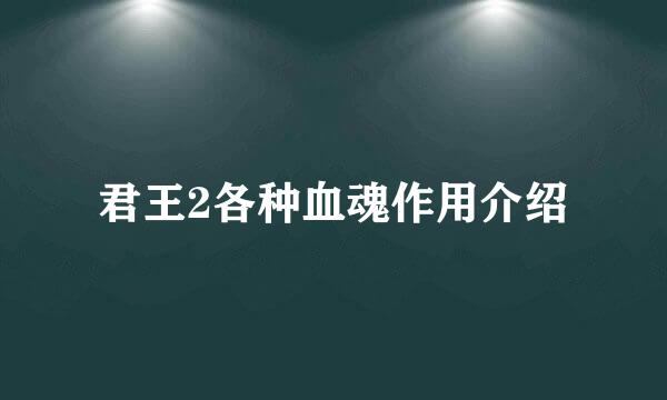 君王2各种血魂作用介绍