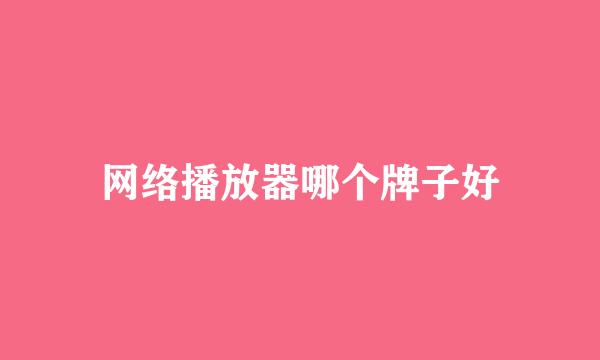 网络播放器哪个牌子好