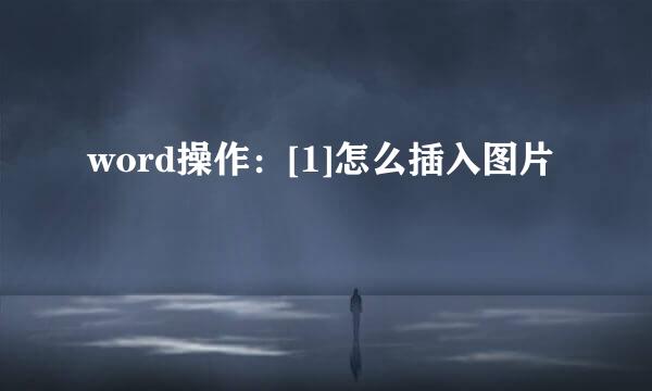 word操作：[1]怎么插入图片