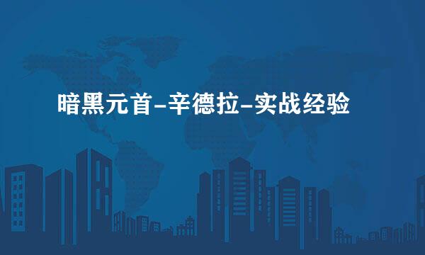 暗黑元首-辛德拉-实战经验