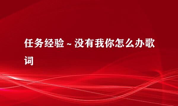 任务经验～没有我你怎么办歌词