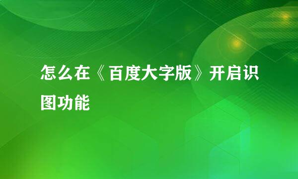 怎么在《百度大字版》开启识图功能