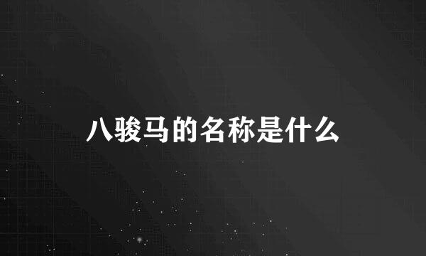 八骏马的名称是什么