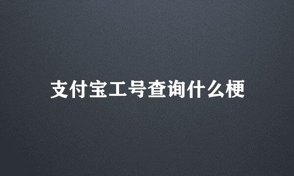 支付宝工号查询什么梗