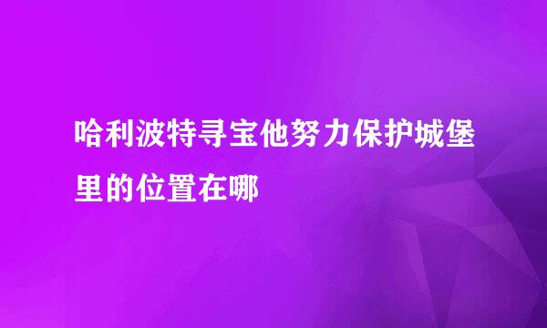 哈利波特寻宝他努力保护城堡里的位置在哪