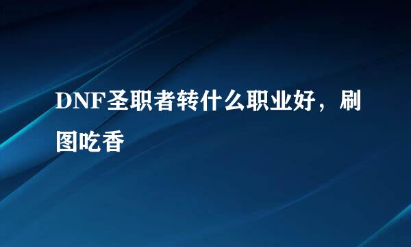 DNF圣职者转什么职业好，刷图吃香