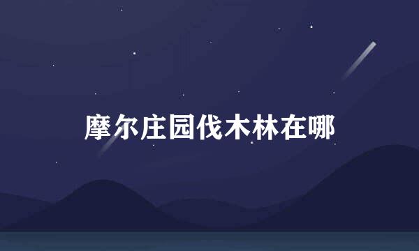 摩尔庄园伐木林在哪