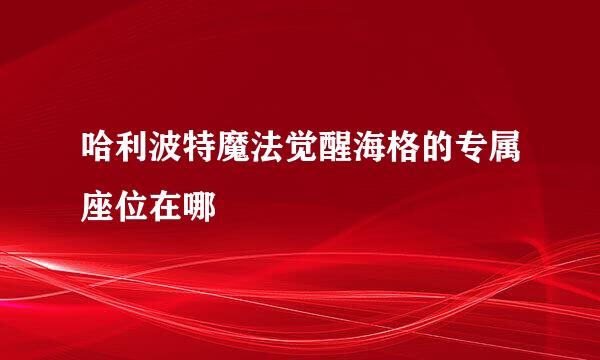 哈利波特魔法觉醒海格的专属座位在哪