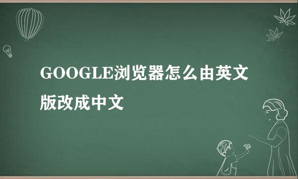 GOOGLE浏览器怎么由英文版改成中文
