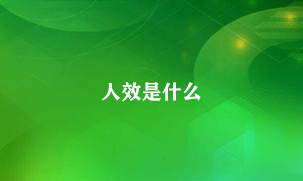 人效是什么