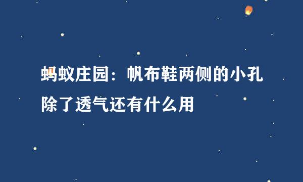 蚂蚁庄园：帆布鞋两侧的小孔除了透气还有什么用