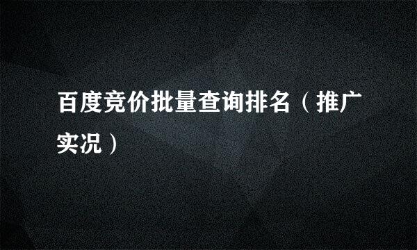 百度竞价批量查询排名（推广实况）
