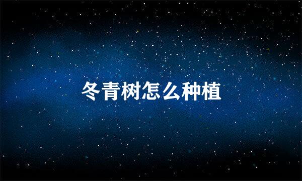 冬青树怎么种植