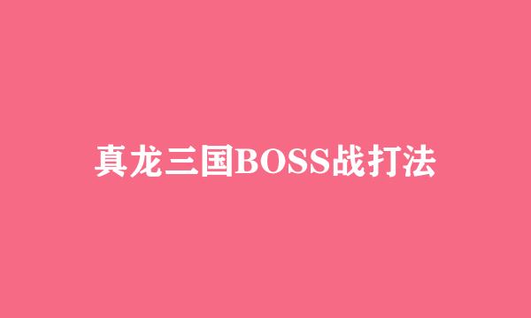 真龙三国BOSS战打法