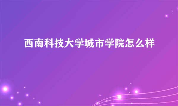 西南科技大学城市学院怎么样