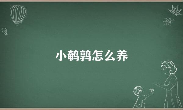 小鹌鹑怎么养
