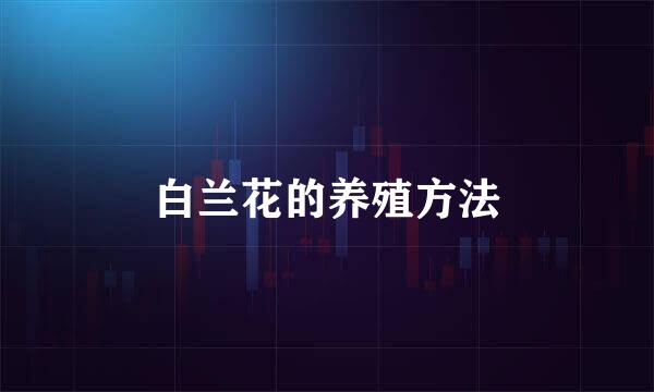 白兰花的养殖方法
