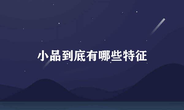 小品到底有哪些特征