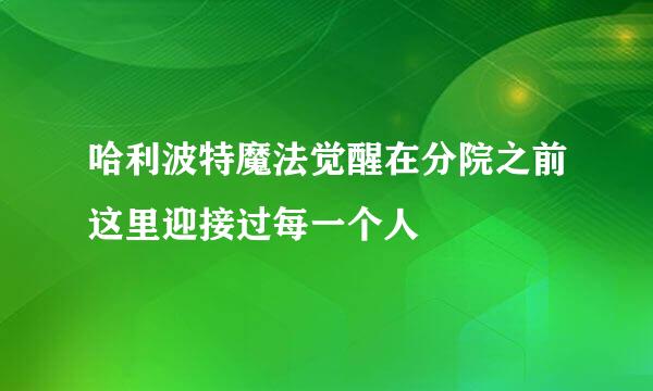 哈利波特魔法觉醒在分院之前这里迎接过每一个人