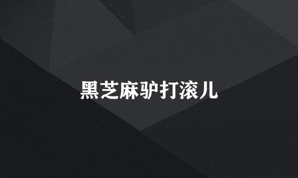 黑芝麻驴打滚儿