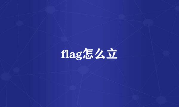flag怎么立