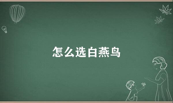 怎么选白燕鸟