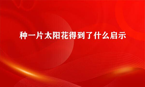种一片太阳花得到了什么启示