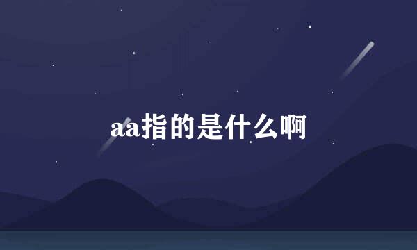 aa指的是什么啊