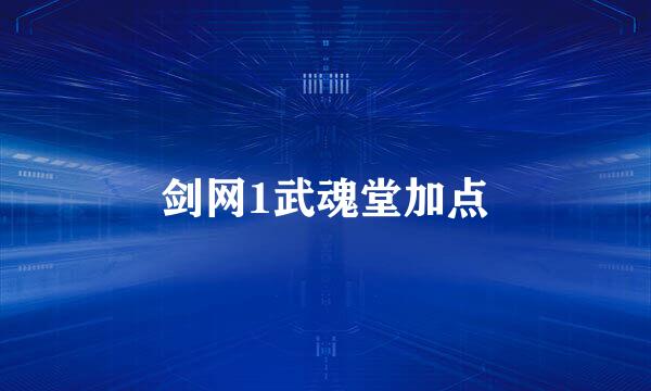 剑网1武魂堂加点