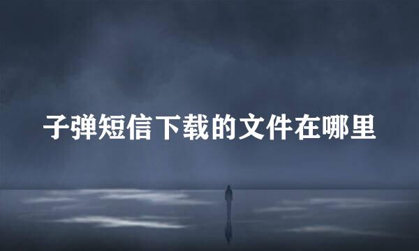 子弹短信下载的文件在哪里