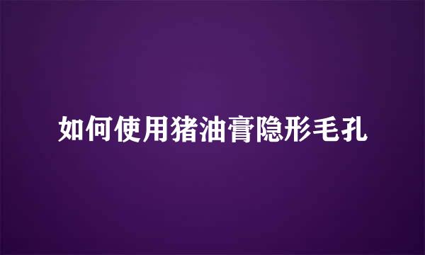 如何使用猪油膏隐形毛孔