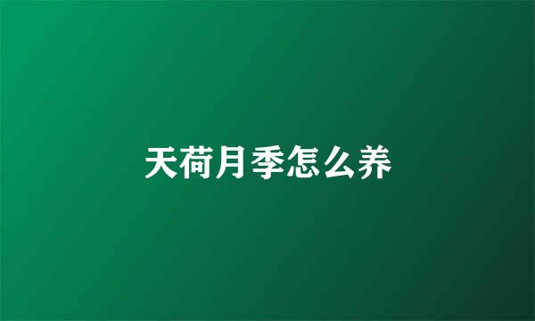 天荷月季怎么养