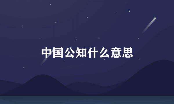 中国公知什么意思