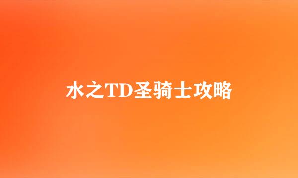 水之TD圣骑士攻略