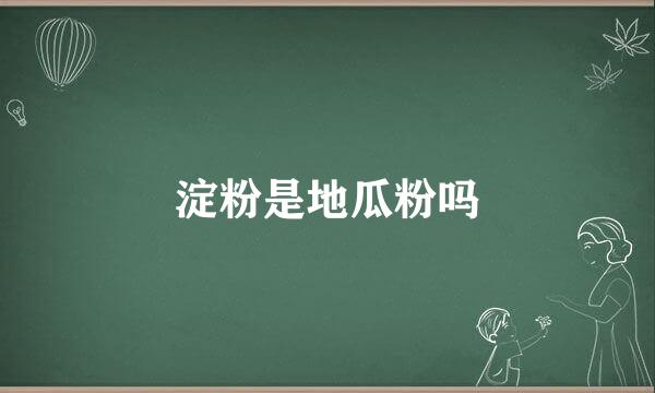 淀粉是地瓜粉吗
