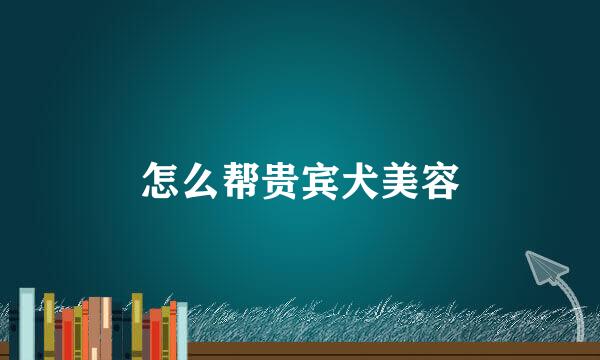 怎么帮贵宾犬美容
