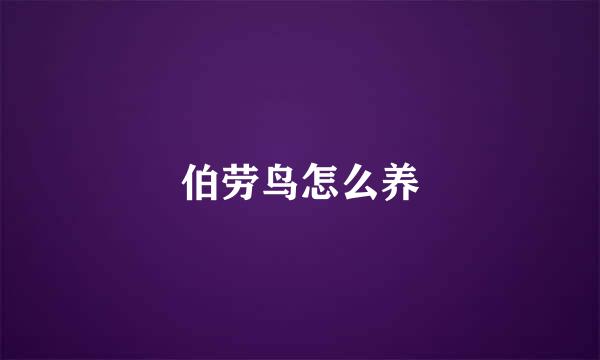 伯劳鸟怎么养
