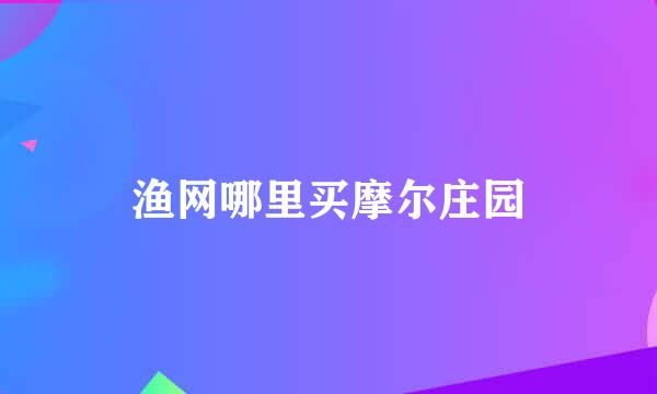 渔网哪里买摩尔庄园