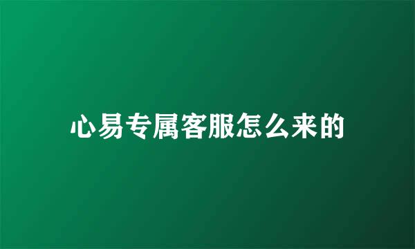 心易专属客服怎么来的
