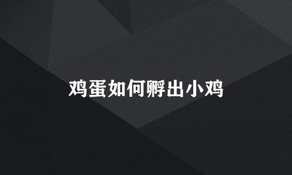 鸡蛋如何孵出小鸡