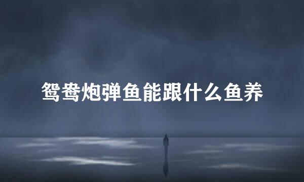 鸳鸯炮弹鱼能跟什么鱼养