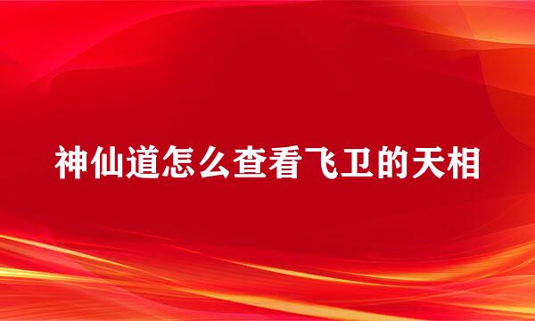 神仙道怎么查看飞卫的天相