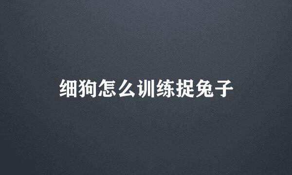 细狗怎么训练捉兔子