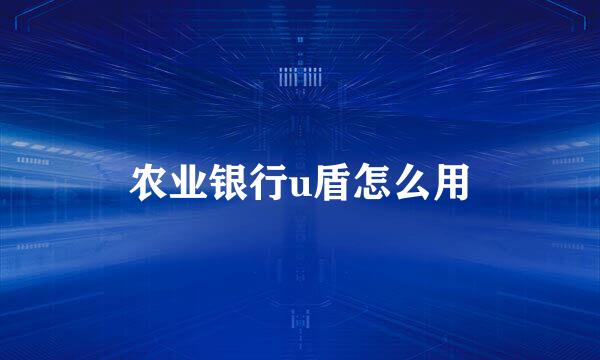 农业银行u盾怎么用