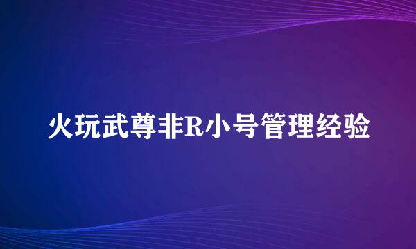 火玩武尊非R小号管理经验